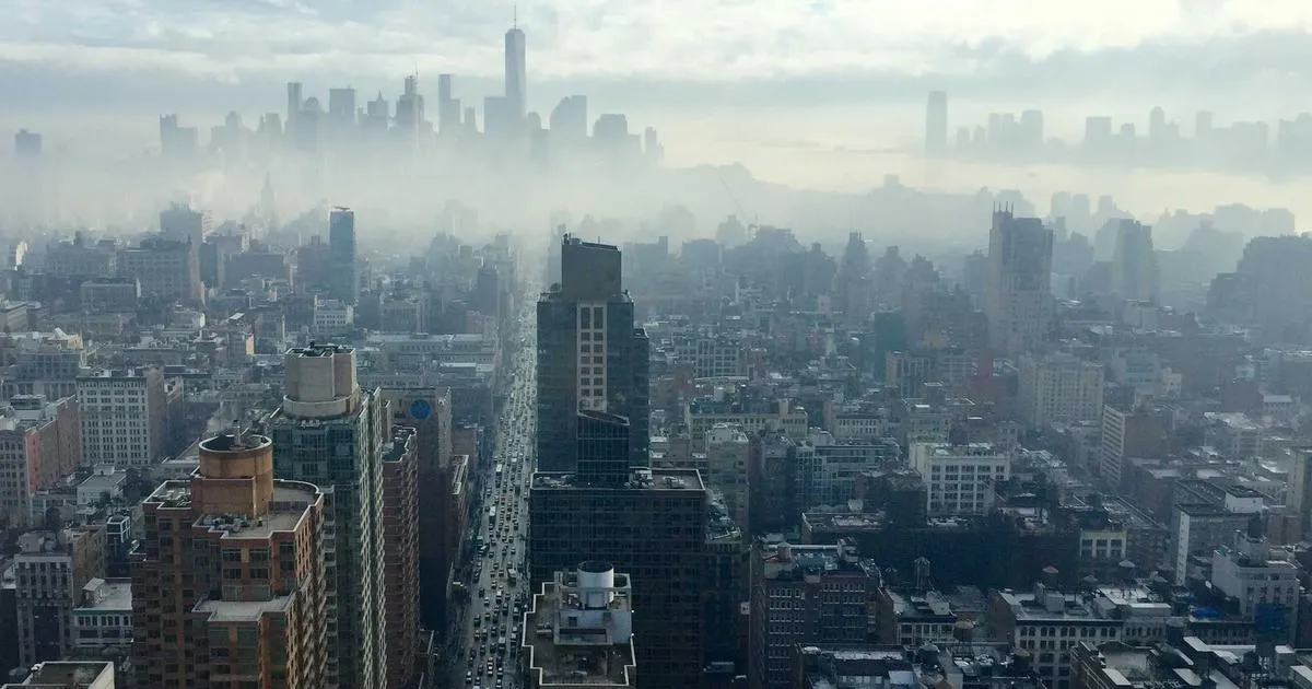 currentOrder);