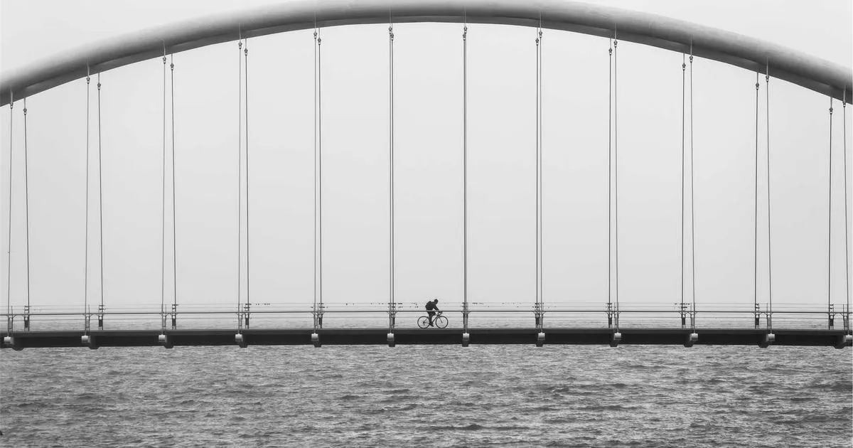 Ecran noir : comment récupérer photo samsung